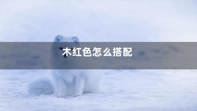 木红色怎么搭配