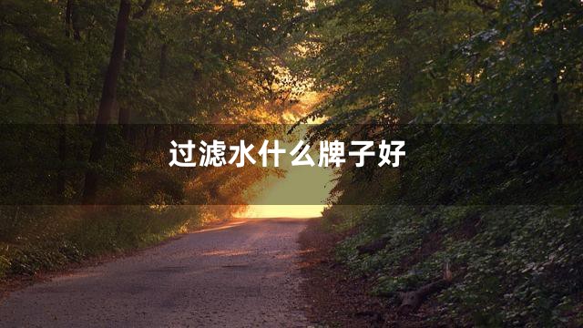 过滤水什么牌子好