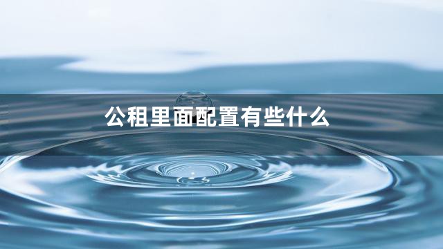 公租里面配置有些什么
