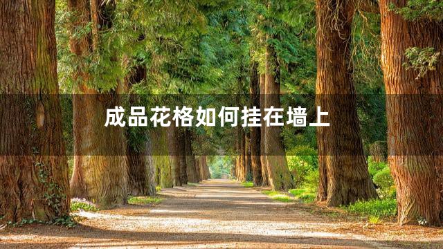 成品花格如何挂在墙上