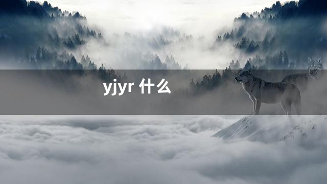 yjyr 什么