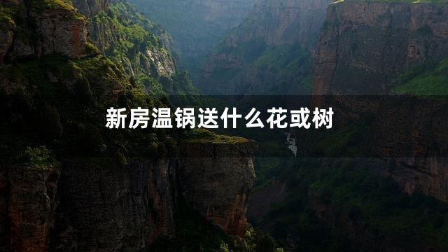 新房温锅送什么花或树
