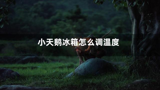 小天鹅冰箱怎么调温度