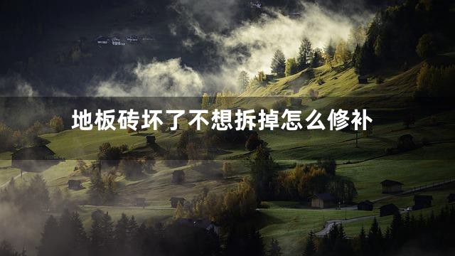 地板砖坏了不想拆掉怎么修补