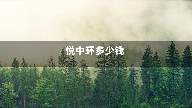 悦中环多少钱