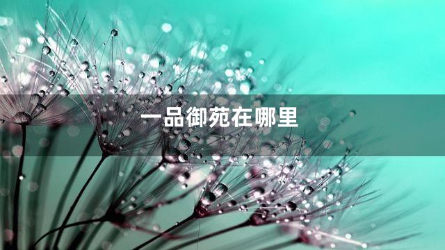 一品御苑在哪里