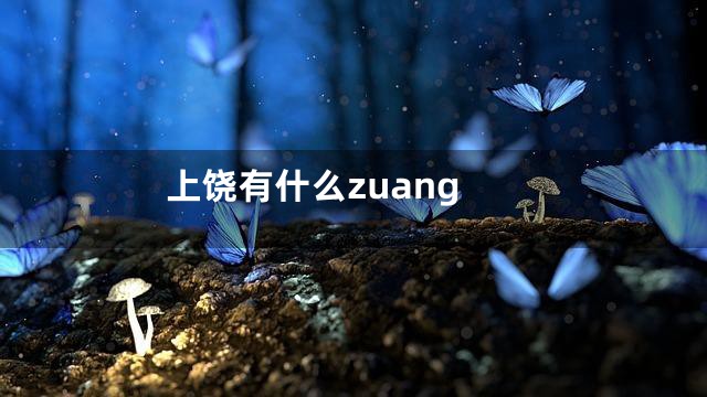 上饶有什么zuang