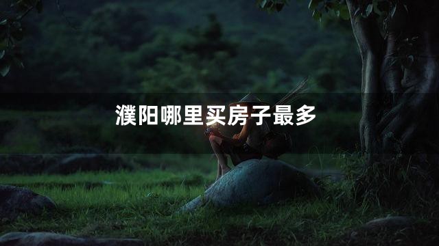 濮阳哪里买房子最多