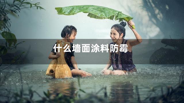 什么墙面涂料防霉