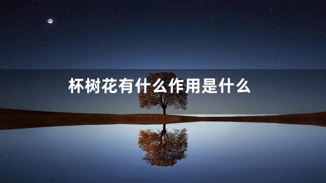 杯树花有什么作用是什么