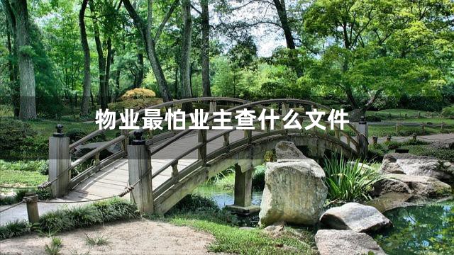 物业最怕业主查什么文件