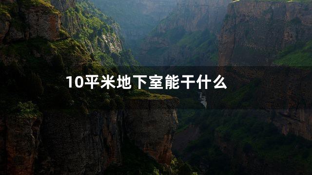 10平米地下室能干什么
