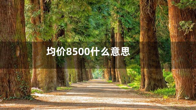 均价8500什么意思