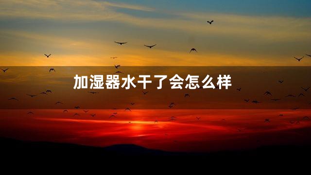加湿器水干了会怎么样