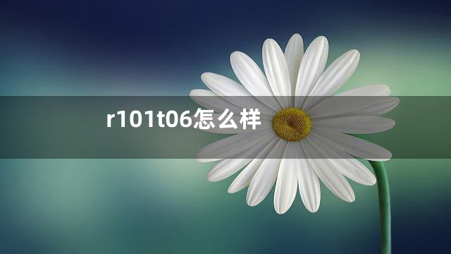 r101t06怎么样