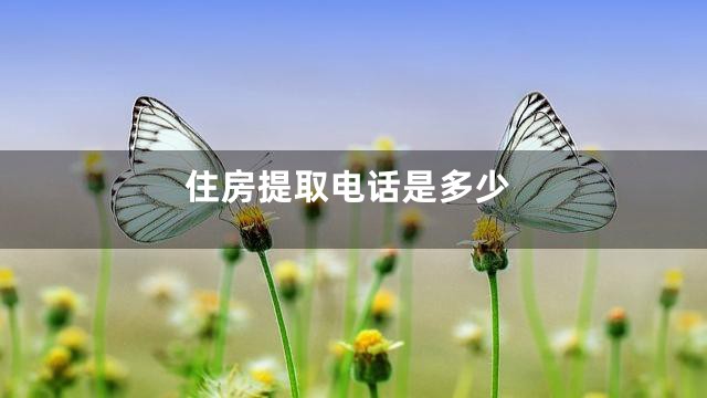 住房提取电话是多少