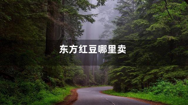 东方红豆哪里卖