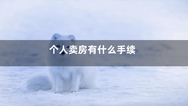 个人卖房有什么手续