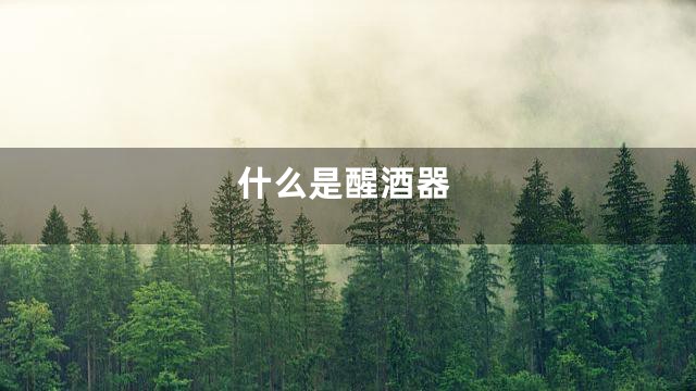 什么是醒酒器