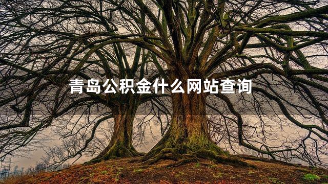 青岛公积金什么网站查询