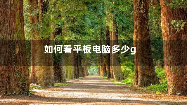 如何看平板电脑多少g