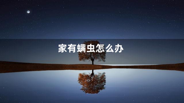 家有螨虫怎么办