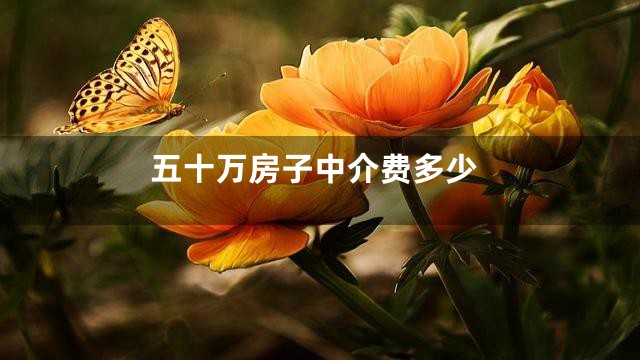 五十万房子中介费多少