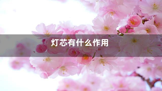 灯芯有什么作用