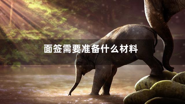 面签需要准备什么材料