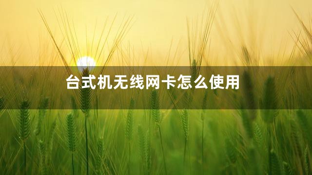 台式机无线网卡怎么使用