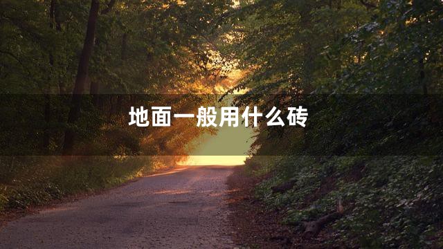 地面一般用什么砖