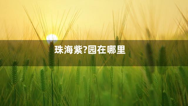 珠海紫?园在哪里