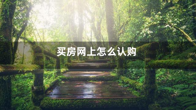 买房网上怎么认购