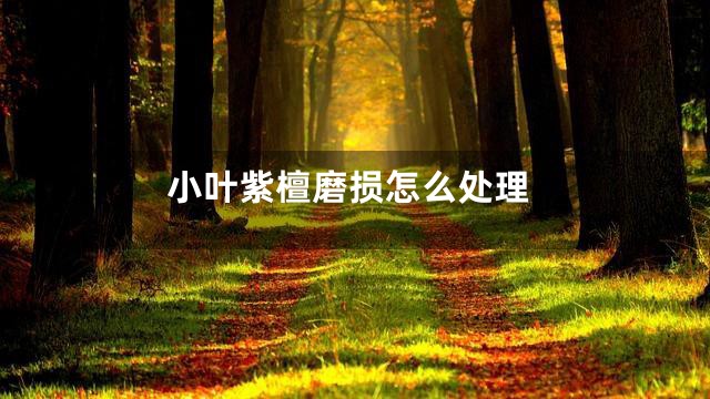 小叶紫檀磨损怎么处理