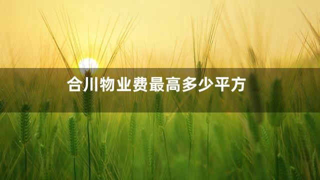 合川物业费最高多少平方