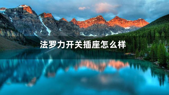 法罗力开关插座怎么样