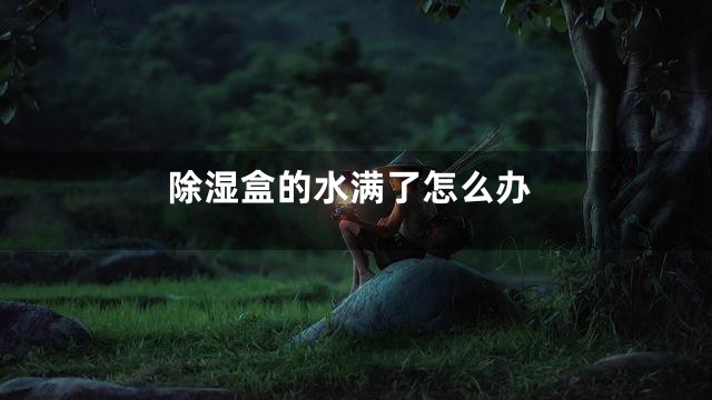 除湿盒的水满了怎么办