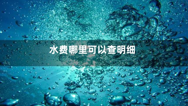水费哪里可以查明细