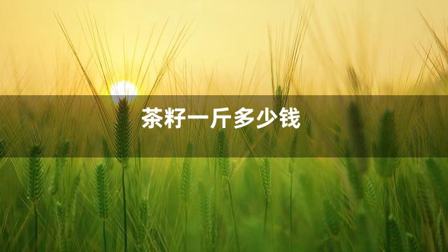 茶籽一斤多少钱