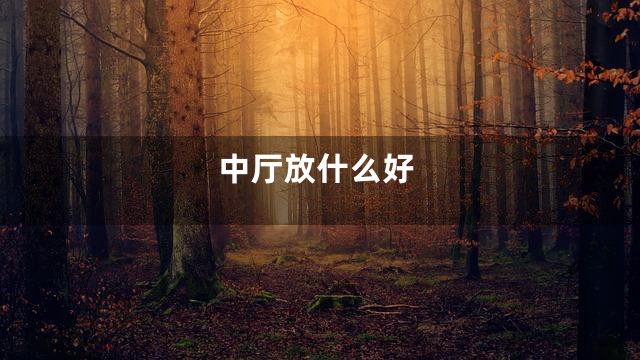 中厅放什么好