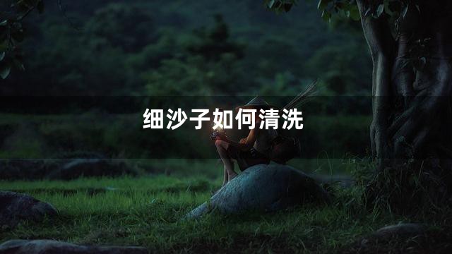 细沙子如何清洗