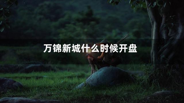万锦新城什么时候开盘