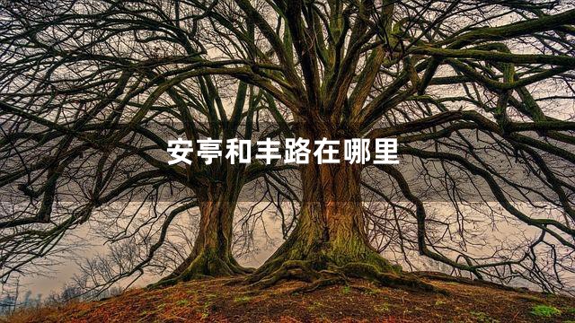 安亭和丰路在哪里