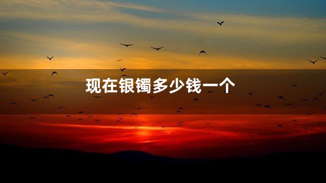 现在银镯多少钱一个