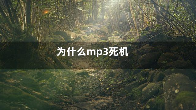 为什么mp3死机