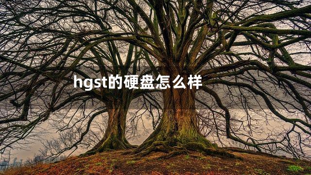 hgst的硬盘怎么样