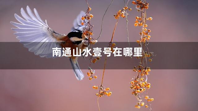 南通山水壹号在哪里