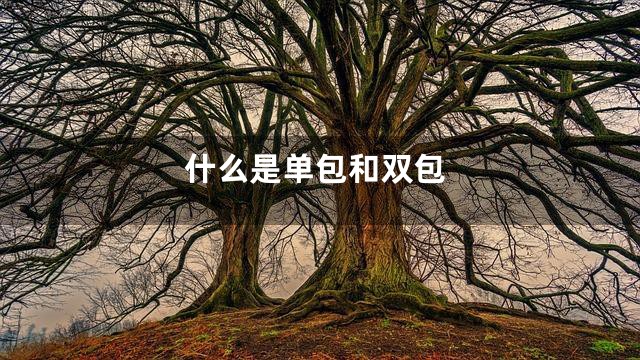 什么是单包和双包