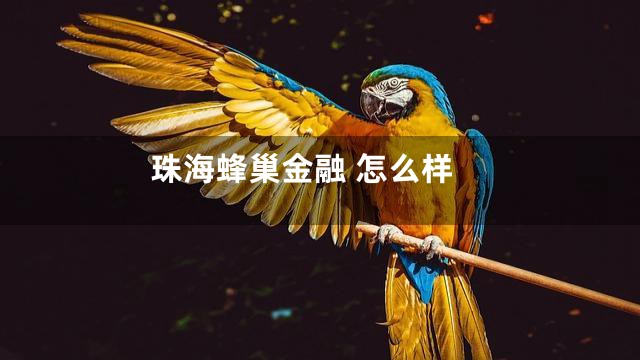 珠海蜂巢金融 怎么样