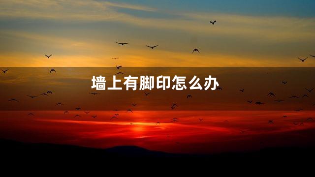 墙上有脚印怎么办